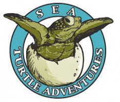 sea turtle tour and travels