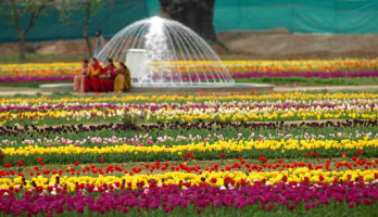 Kashmir All Set For Tulip Festival
