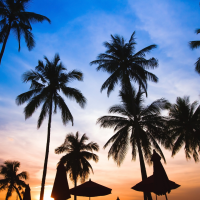 India receives its first fly-in resort, with guests transported by private aircraft