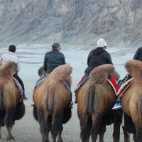 Nubra Valley will be upgraded, and the Sumoor desert will be developed in Ladakh