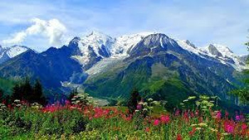 UTTARAKHAND'S STUNNING VALLEY OF FLOWERS RE-OPENS FOR TOURISTS