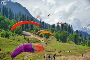 Exotic Manali