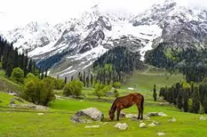Kashmir Holiday tour package 4Nights-5Days for 10 peoples