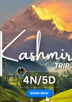 Kashmir Package (4N/5D)