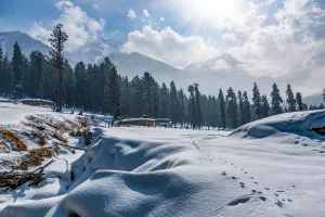 Attractive Kashmir Tour Package for a Family Trip 4N 5D