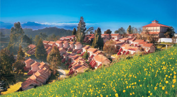 Ooty Deluxe Package ( 2 Nights & 3 Days )
