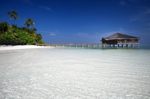 MALDIVES -- 4*Medhufushi Island Resort (2n beach villa + 1n water villa)