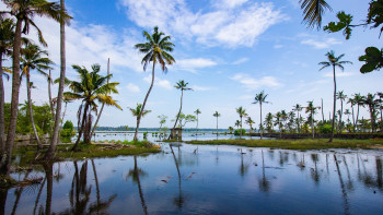 A Relaxing Holiday to Kerala 4N/5D