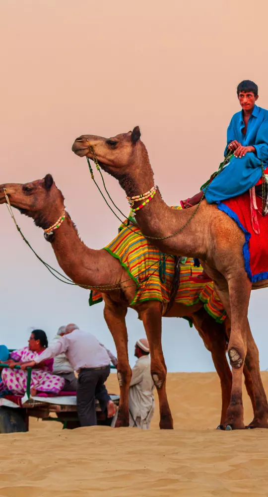 Desert camel ride in Jaisalmer