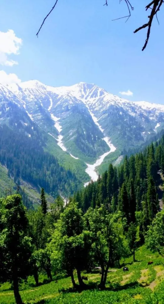 Serene, Snowy, Scenic and Majestic Mountains in Kashmir