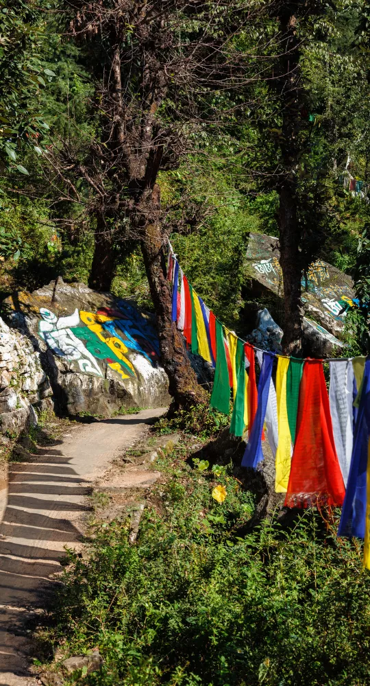 View of lush green hills and valleys in Mcleodganj under a bright blue sky with scattered clouds