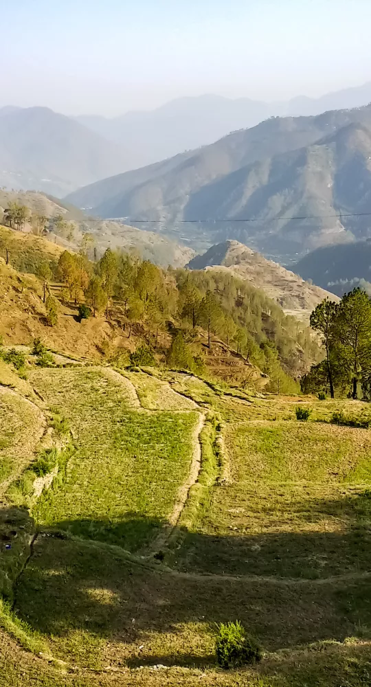  Picturesque landscapes of Ranikhet.