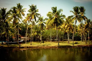 Backwaters