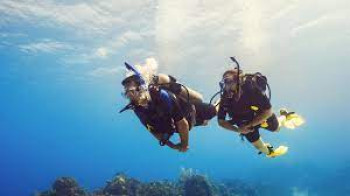 Scuba Diving
