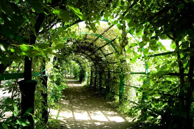 Green Corridor