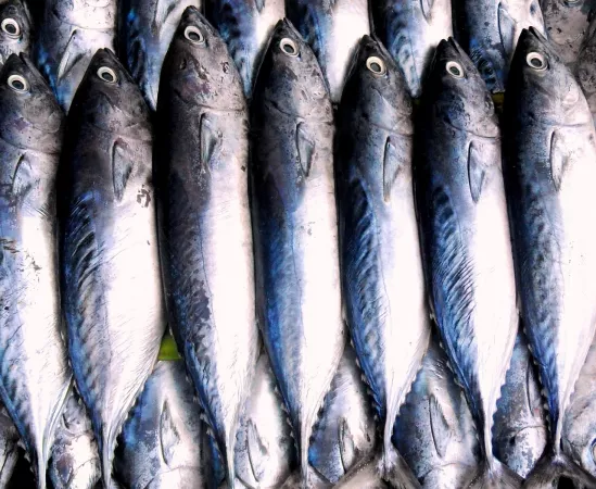 The Maldives Fish Market