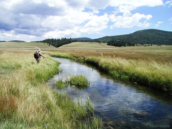 Trout Fishing