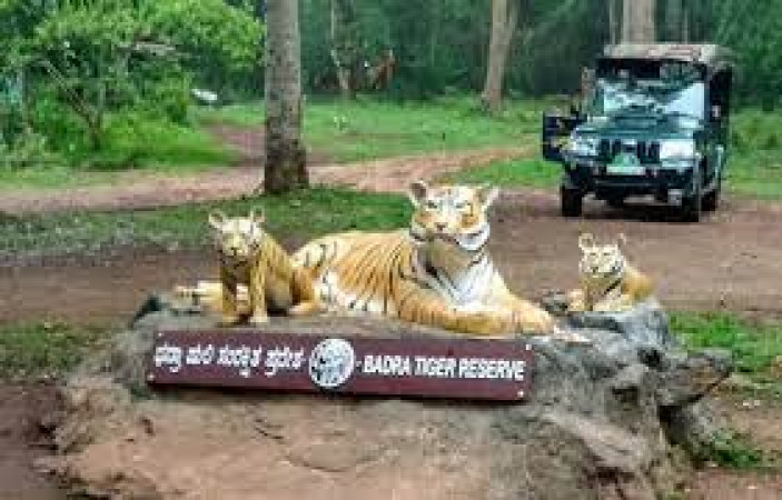 Bhadra Wildlife Sanctuary
