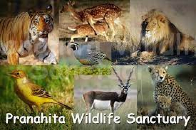 Paranahita Wildlife Sanctuary