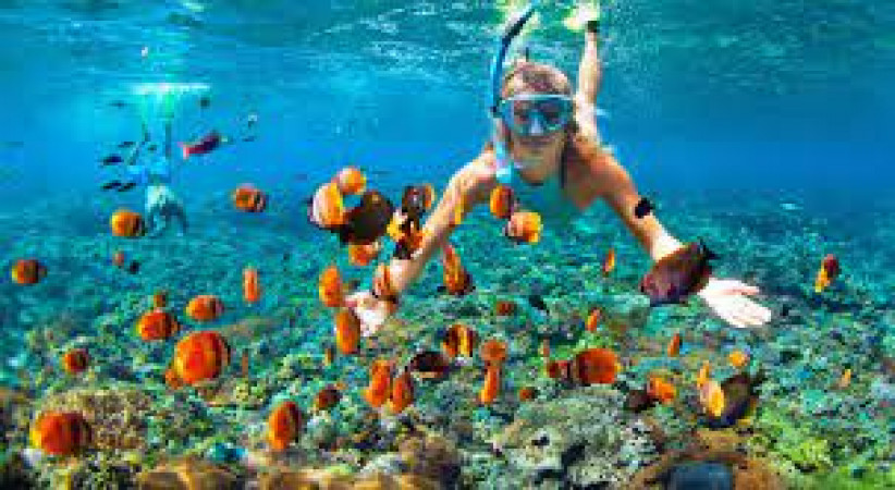 Scuba Diving And Snorkeling