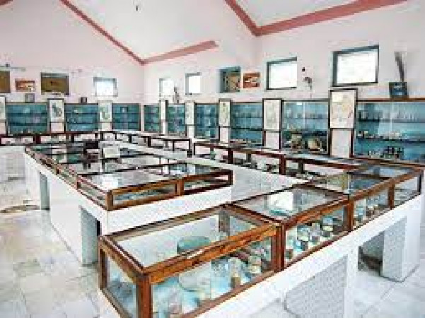 Shell Museums In Diu
