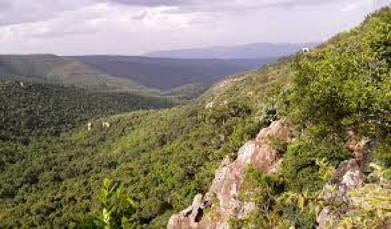 Sri Venkateshwara National Park