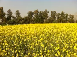 Top 5 Places to visit in Punjab