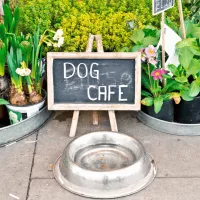 Best dog cafes in Mumbai