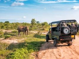 Top 10 national parks in India for wildlife safari