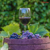 Top 10 Europe's lesser-known wine regions and vineyards to visit