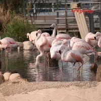 Discover the Wonders of the Sea: 10 Best Marine Theme Parks in the World