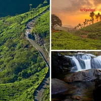 A guide to top places to visit in Munnar 