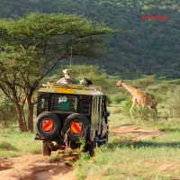 Top 5 DMCs of Kenya for an excellent safari