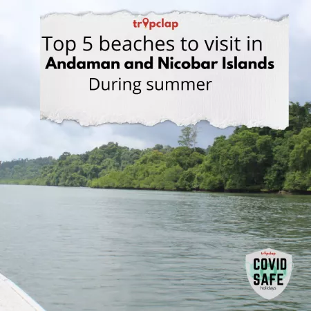 Top 5 beaches to visit in Andaman and Nicobar Islands during summer