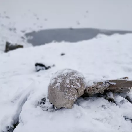 The Lake Of Skeletons At Chamoli, Uttarakhand