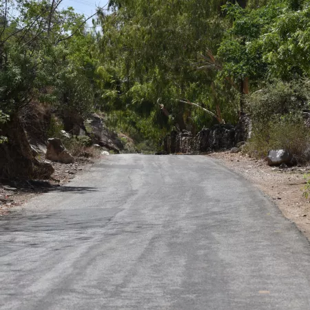 The Shrine Of Om Banna, Rajasthan