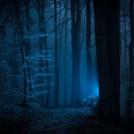 The Ghost Lights Of West Bengal