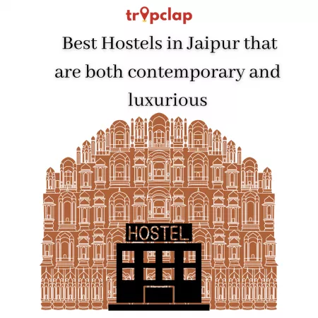  Best Hostels in Jaipur that are both contemporary and luxurious
