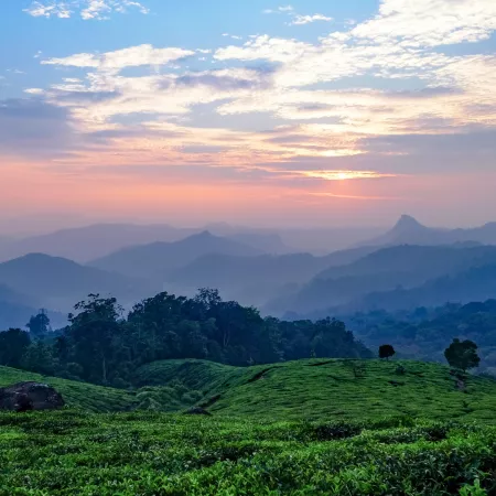 3. MUNNAR, KERELA 