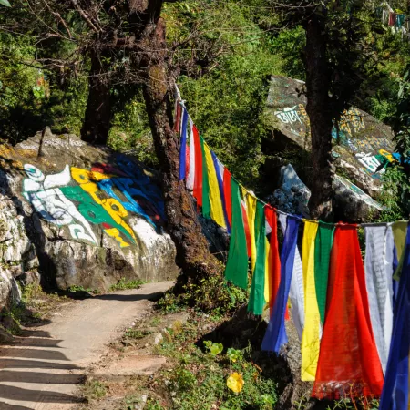 4. MCLEOD GANJ, HIMACHAL PRADESH