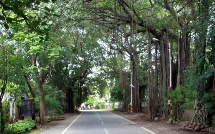 Take a evening walk at the Koregaon Park
