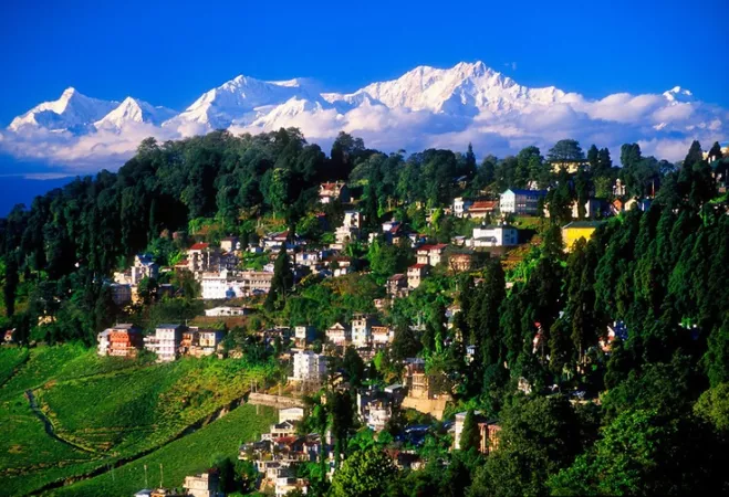Sip the best tea in Darjeeling
