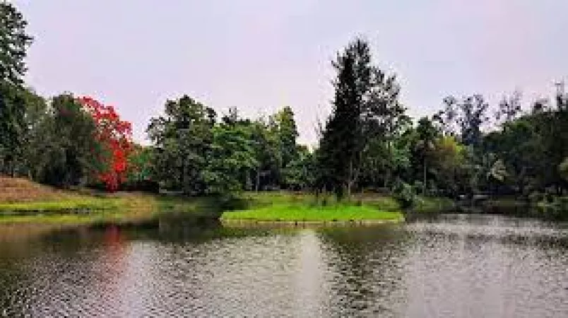 Get active at Nehru Park