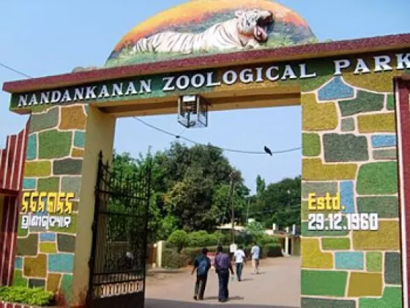 Spend a day at the Nandankanan Zoological Park