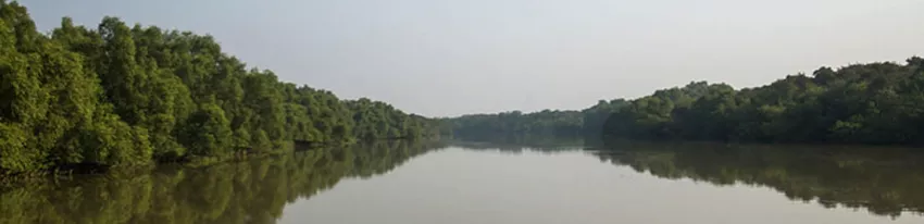 Go wild at the Bhitarkanika Wildlife Sanctuary