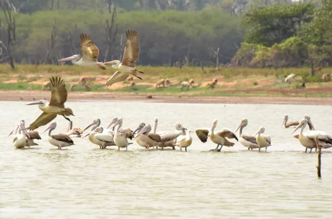 2. Make a reservation for a day at the Vellode Birds Sanctuary