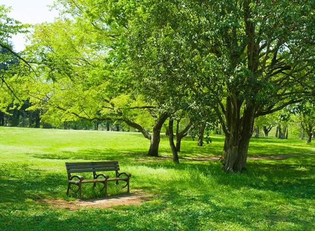 Take a walk through Lala Lajpat Rai Park