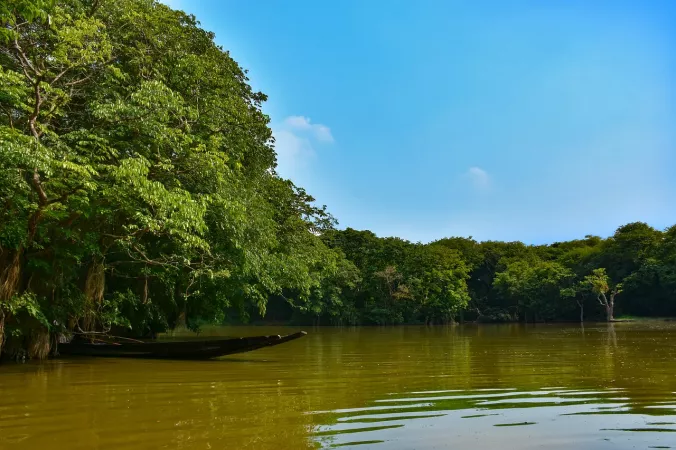 11. Sunderbans National Park, West Bengal