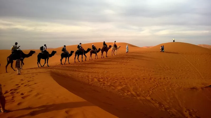 3. Ride a camel at the Dubai Desert Conservation Reserve