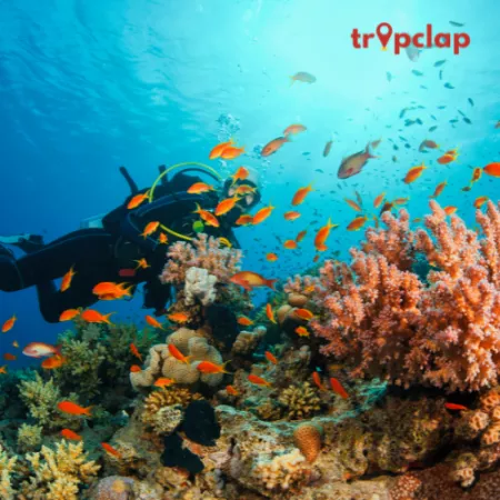 Things to do in Andaman